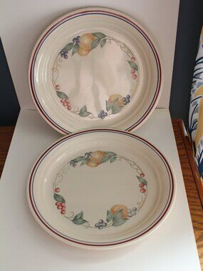 Corelle Abundance Lot of 2  Luncheon Plates 8 1/2"